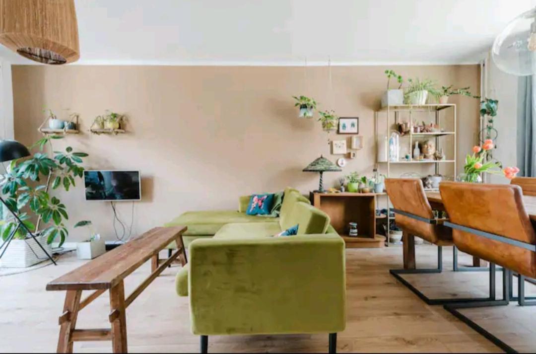Homestay Casa Suzanne *
